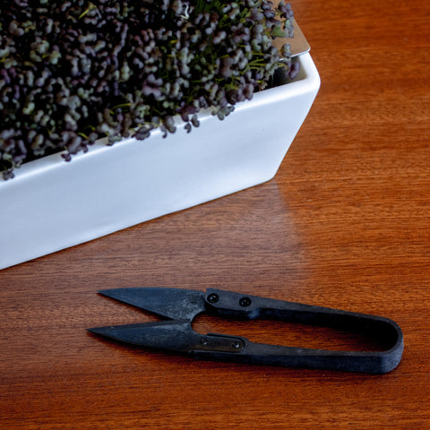 Microgreens Harvesting Shears