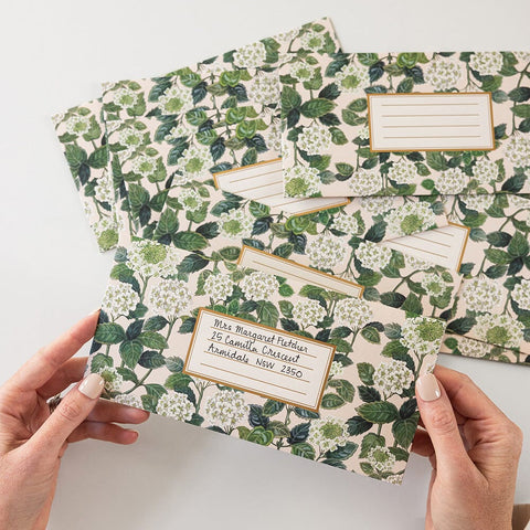 Hydrangea DL Envelopes