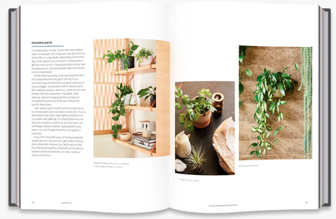 Nature Style: Cultivating Wellbeing at Home with Plants