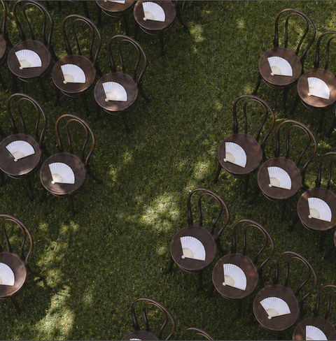 Taffeta Hand Fans