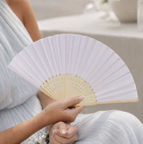 Taffeta Hand Fans