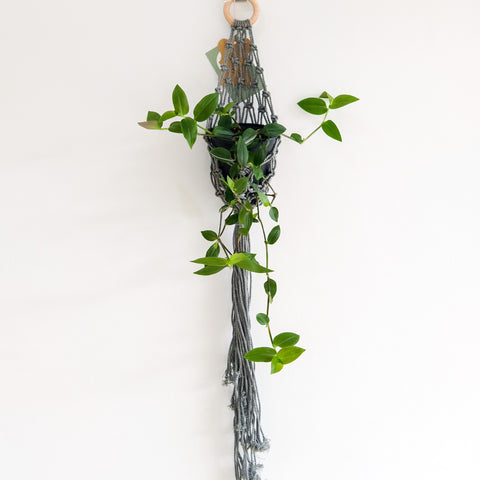Macrame plant pod